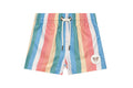 Rainbow Strip Swim Short