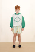 Multicolor Stripes Shorts